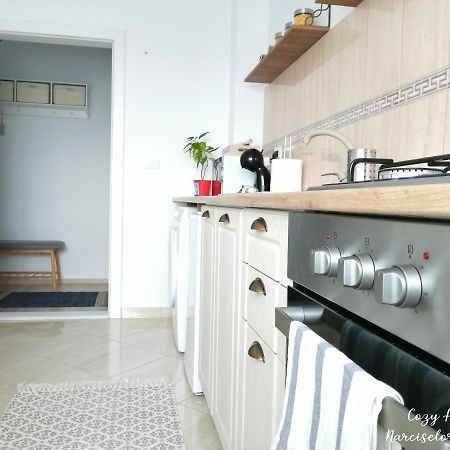 Cozy Apartment Narciselor Suceava Ipotesti  Eksteriør bilde