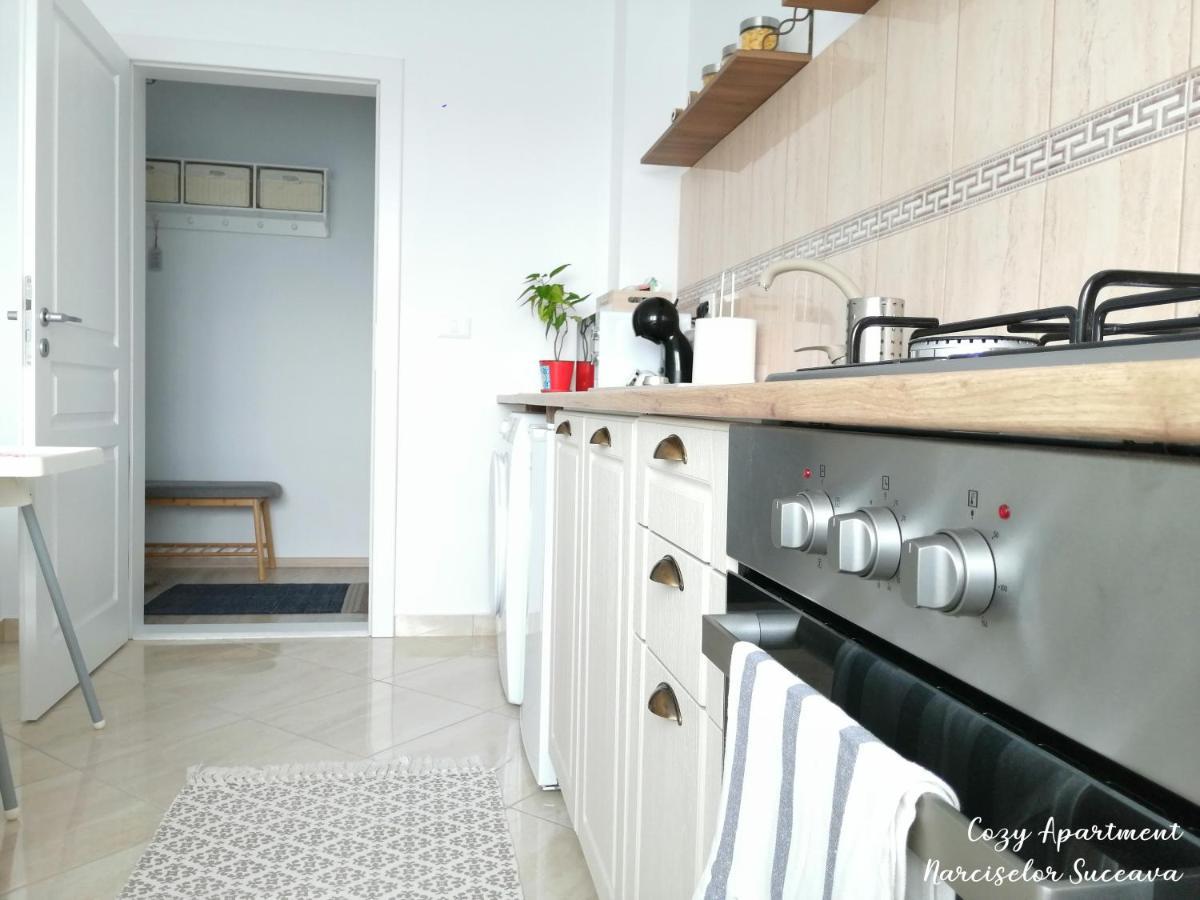 Cozy Apartment Narciselor Suceava Ipotesti  Eksteriør bilde