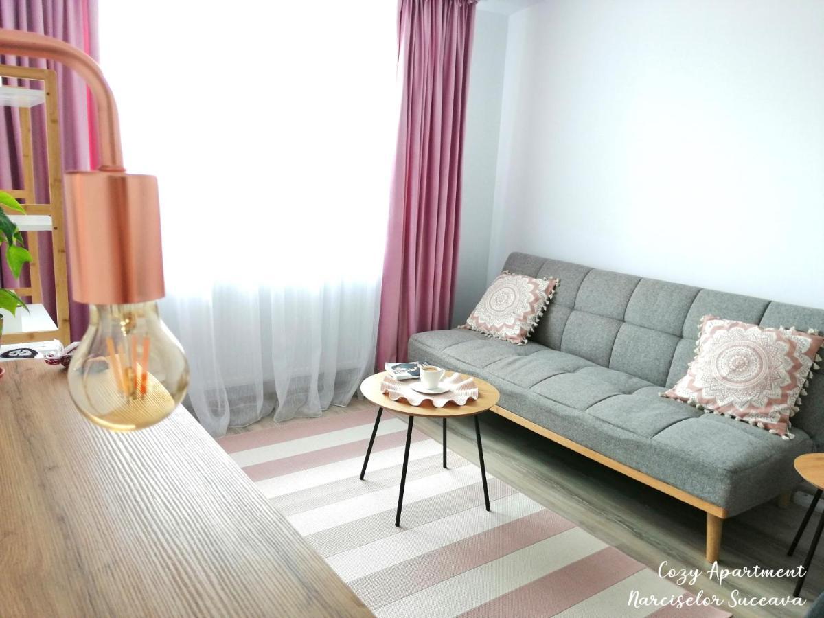 Cozy Apartment Narciselor Suceava Ipotesti  Eksteriør bilde