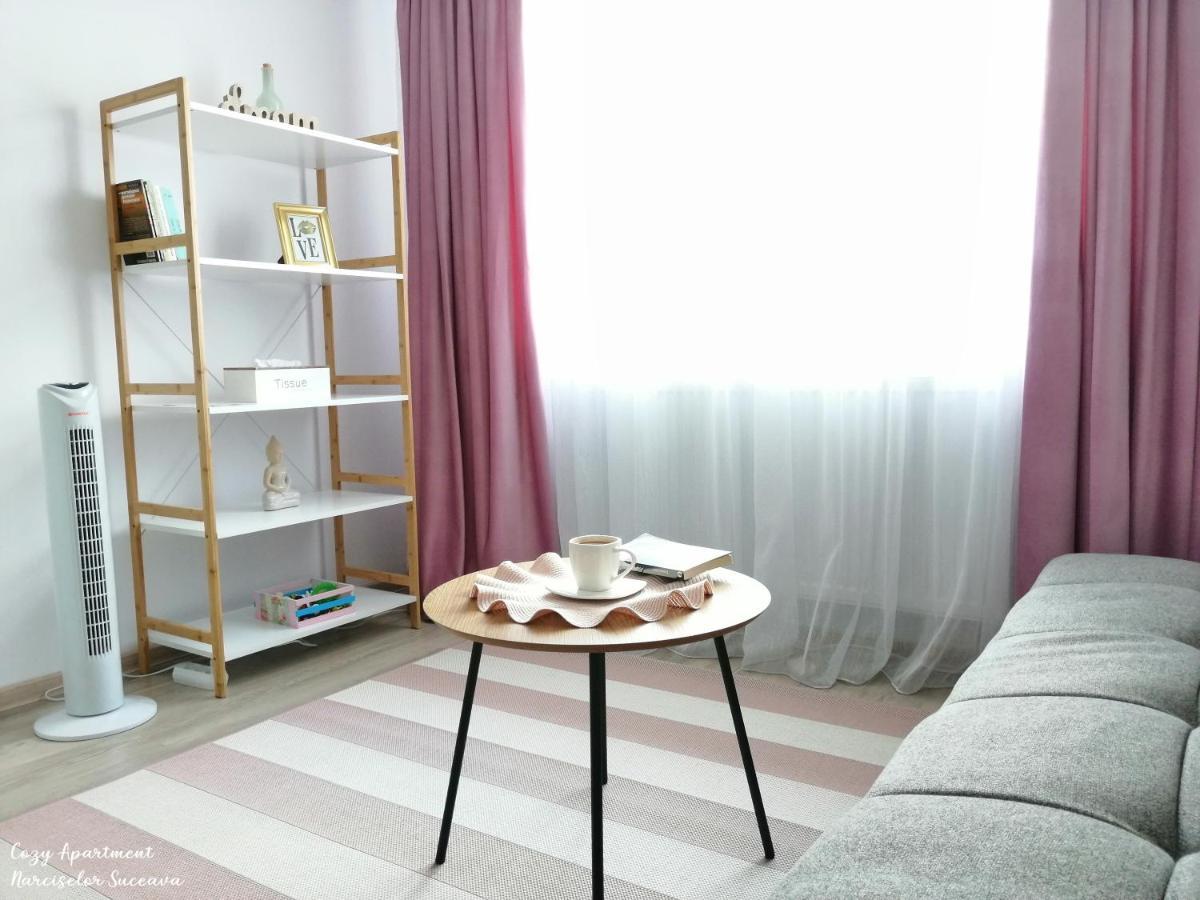 Cozy Apartment Narciselor Suceava Ipotesti  Eksteriør bilde